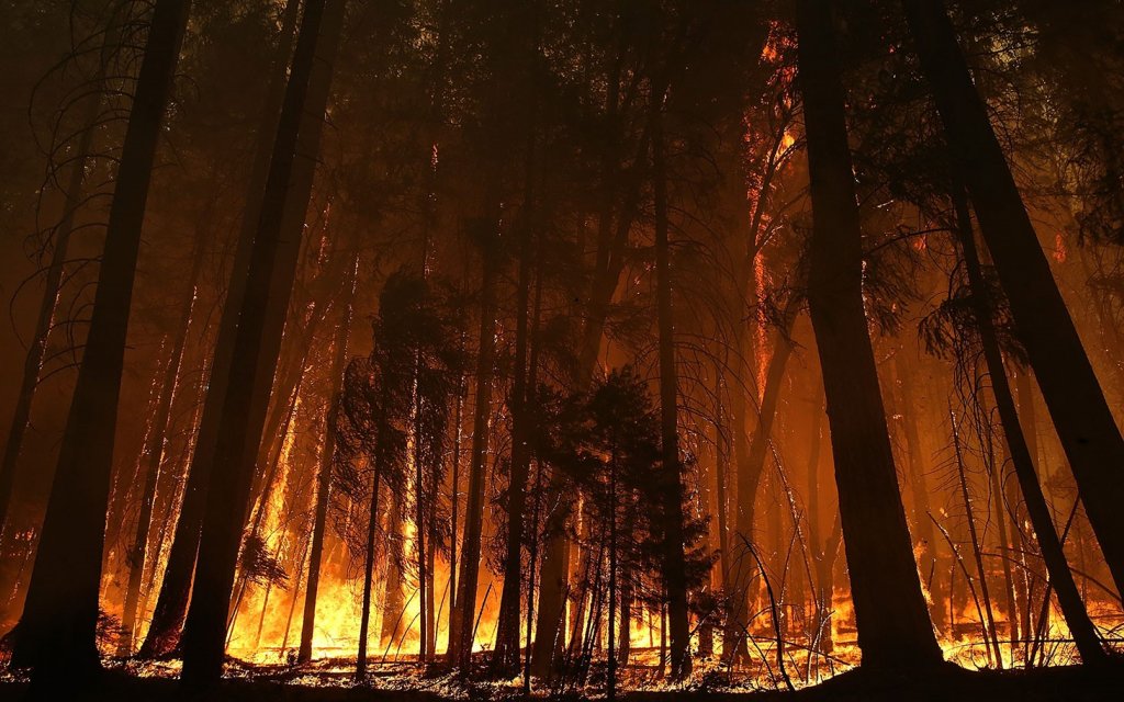 VoiceofWLA's tweet image. Today WLA is joining a diverse coalition of organizations &amp;amp; policy leaders on social media to ask
#Congress to pass a solution to address western #wildfire problems bit.ly/wildfirefix. #FireFixNow