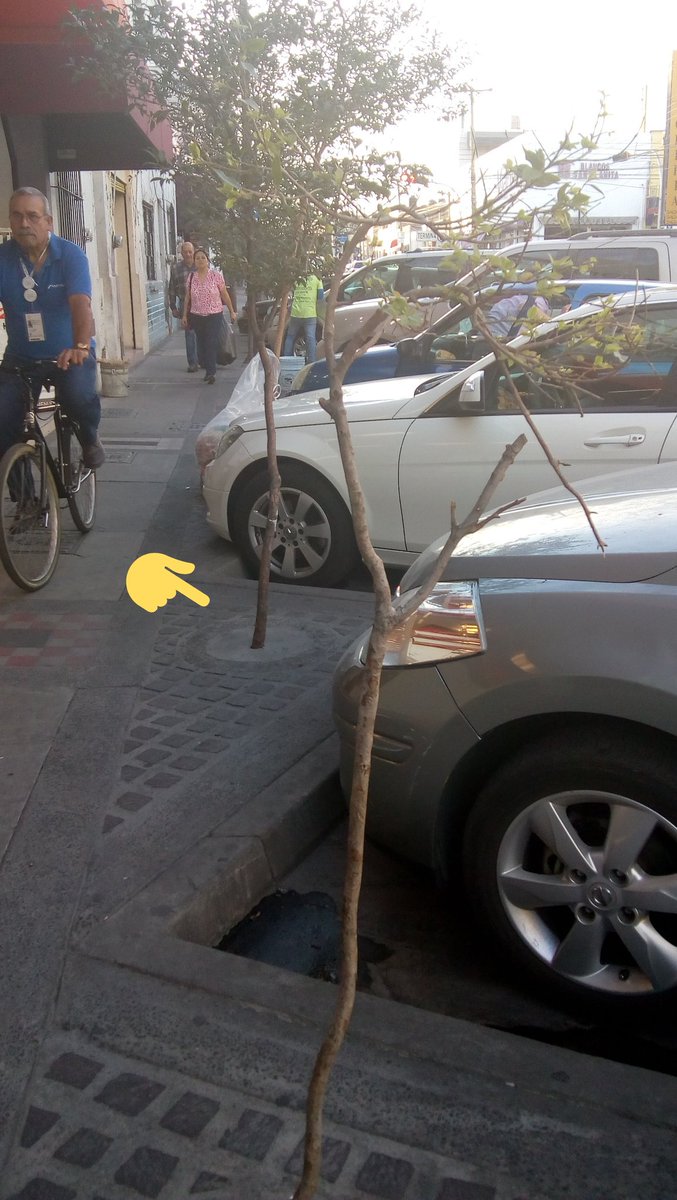 PoderAG_Jal's tweet image. Que mala onda los locatarios del barrio de Santa Tere queriendo ahogar el medio ambiente.
@bicircula
@GuadalajaraGob