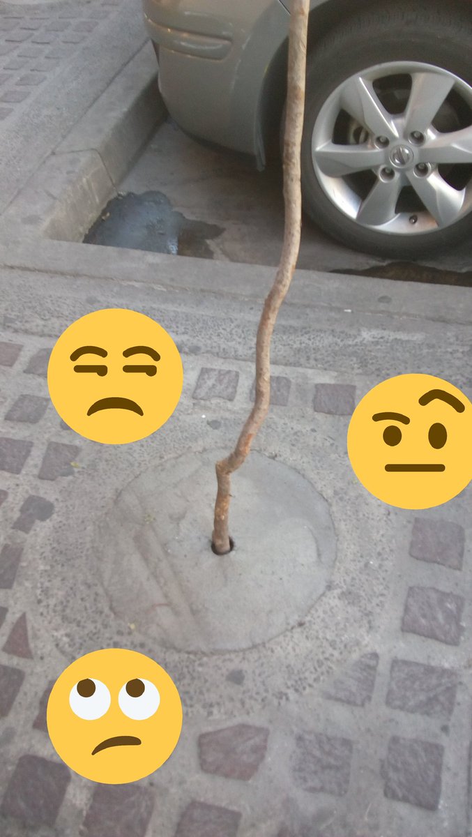 PoderAG_Jal's tweet image. Que mala onda los locatarios del barrio de Santa Tere queriendo ahogar el medio ambiente.
@bicircula
@GuadalajaraGob