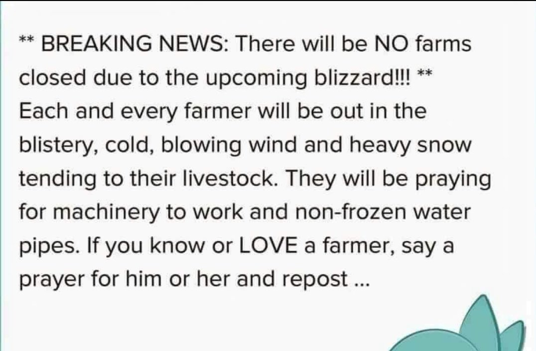 broightergold's tweet photo. 🚜 @BellBarclay https://t.co/BIIuRMAhu7
