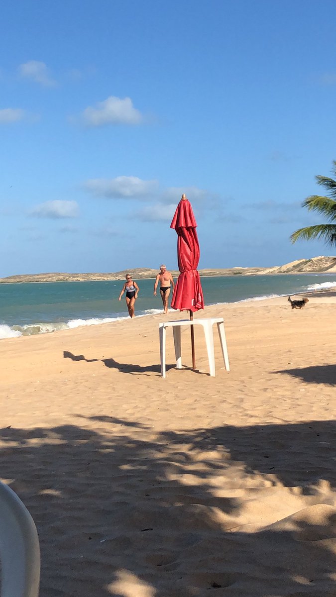 DinhaViajera's tweet photo. Hay algo de vida x acá😂😂😂🌴🇧🇷 #Pititinga RN https://t.co/DiSW7z20PE