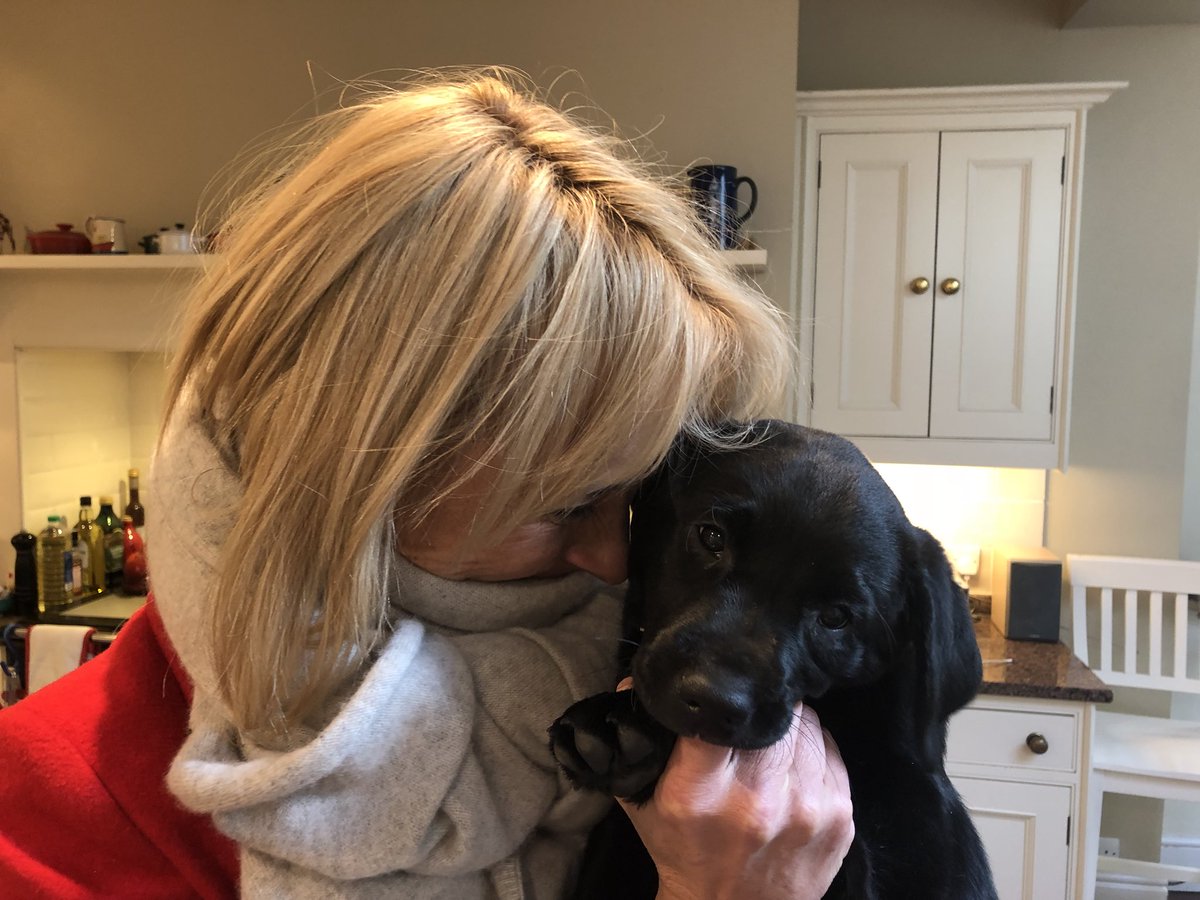 louiseminchin's tweet image. Here is #RubyonTuesday one week in, she is an angel though there is lots of mess to clear up!