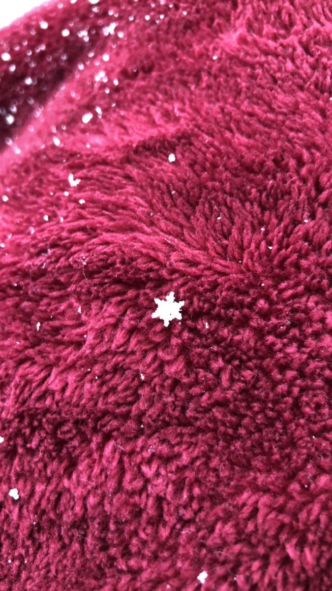 ashlbs11's tweet photo. Spent the morning catching beautiful snowflakes! @WTVAmatt https://t.co/KqWJVaUqAx