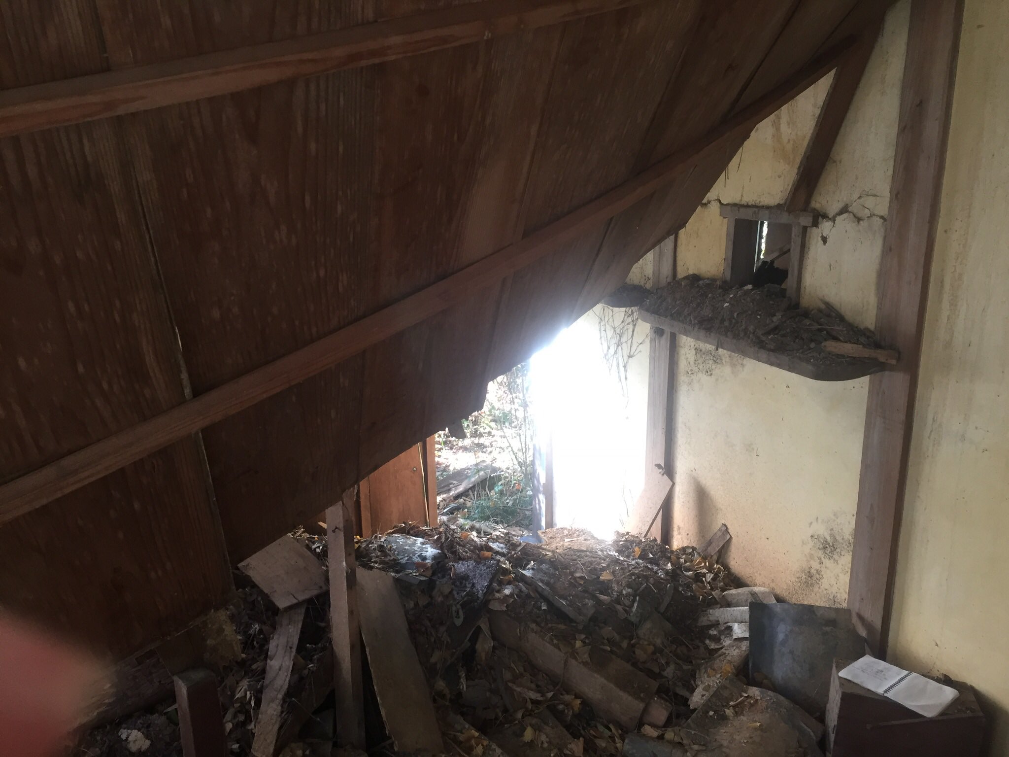 おかっち On Twitter 診察室と薬室がかろうじて残っていたｓ診療所 夏に訪問した時 壁が湾曲していてそろそろヤバイなぁと思っていましたが 今回２階の屋根が完全に落ちてしまっていて 有名廃墟の終わりの時