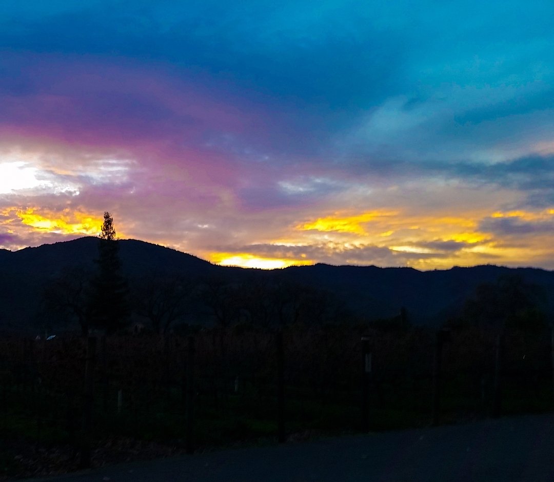One thing we’ll never get tired of? Sunsets from the valley floor! #sequoiagrove #sequoiagrovewine #sequoiagrovewinery #napavalley #napawine #winecountry