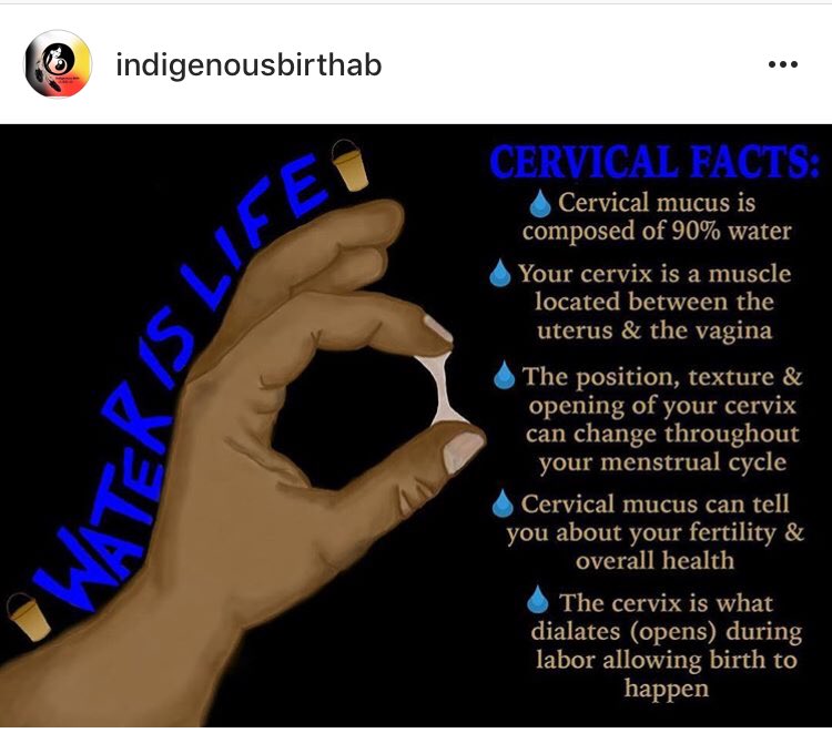 changingwomanin's tweet photo. Thank you @IndigenousBirth for sharing this! Cervical mucus knowledge is important! #womensknowledge https://t.co/IjzjPLVaci