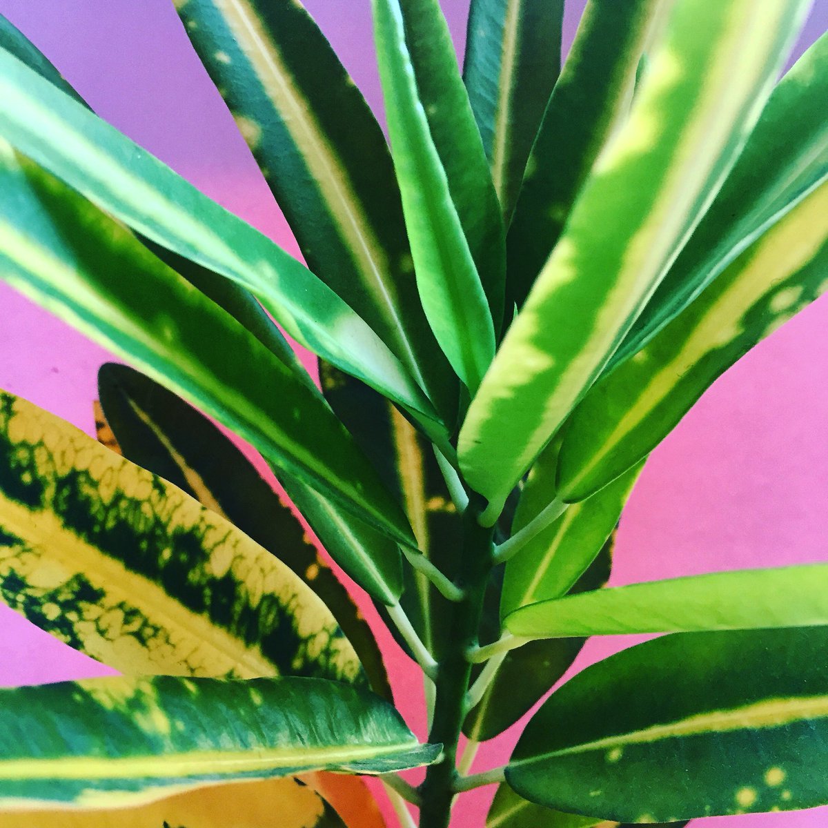 Colours + textures 💛