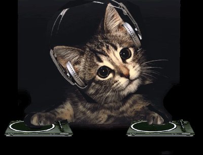 KatNeocleous's tweet photo. #Scandalous Tuesdays 8-10pm! #Live & #Loud @LGR1033 #GreekGrooves #HitTunes #RaiseTheRoof #KittyOnTheDecks #Meooow https://t.co/6kemNkCiI9