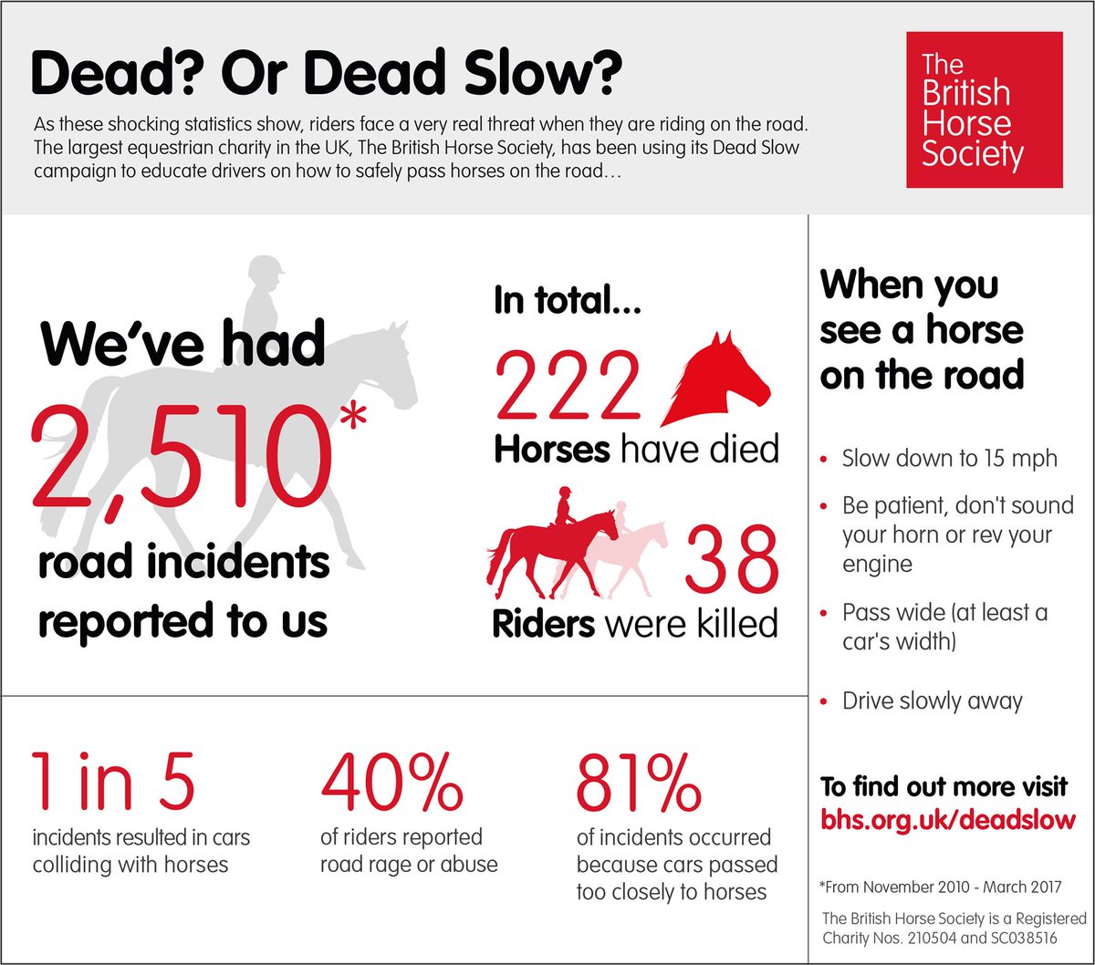 If you and your horse have been involved in an incident (or even a near miss) when riding out on the road, please make sure you report it to us at horseaccidents.org.uk.