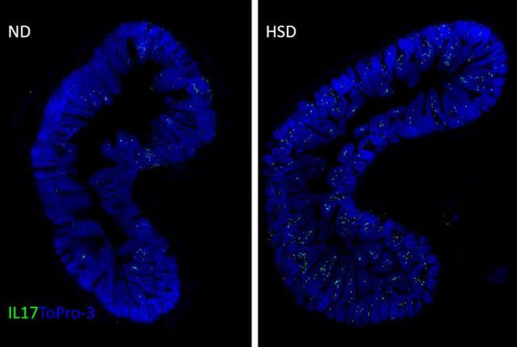 NeuroscienceNew tweet picture