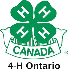 LoriCaughey's tweet photo. Calling all 4Hers! #AmherstIsland #4H #PieClub #opportunities #lifeskills #pies Sign up details👇 https://t.co/YsORnJO56S
