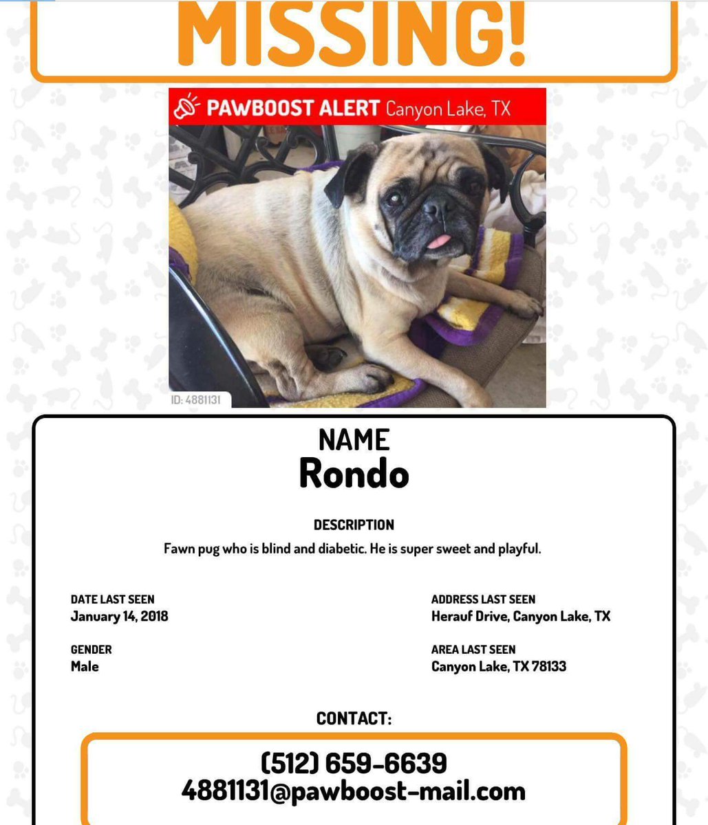 **Missing #Pug. Canyon Lake, TX** Rondo is 8 years old and he is on the thinner side due to diabetes which the family says he is being treated for.  Blind due to cataracts.  His family says he is very loved. He is neutered, No microchip.  Please contact the number on this flyer.