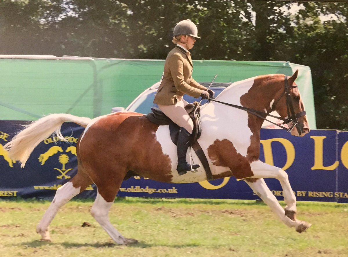 ProudEventing's tweet photo. So I realise I need to keep my Twitter up2date! So I will post some pics from my 2017 to catch my followers up with the past year! First is my ride at RIHS 2017, the lovely #Knickers #randalstowncob #6thopenLW https://t.co/QlIA0lFac5
