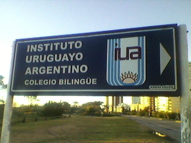 full sarasa💛 tweet media