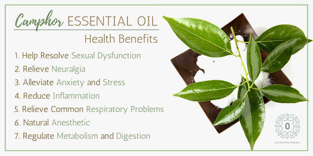 LBorganic's tweet photo. Try using camphor oil this 2018 to breathe deeper, laugh louder, and smile brighter! Learn more about the surprising benefits of camphor essential oils.
👉 https://t.co/adz5Y1qYbf

#essentialoils #essential #oils #oil #health #healthy #healthliving #tip #tips #camphor #camphoroil https://t.co/ajLBMBmbAN