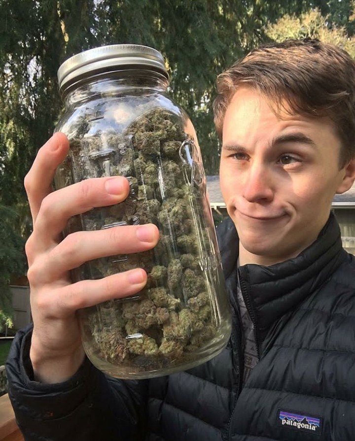 mate_got's tweet image. Good weed for sell