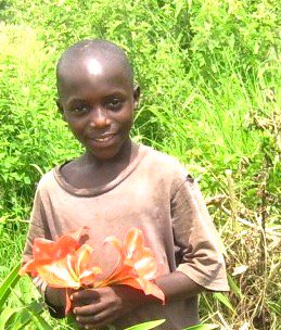 seedsofheaven's tweet image. EDAPO Uganda is building! Two more dorms to finish by February. Help with $10 to make it happen - for these special meditating orphans. bit.ly/2mJ78mM