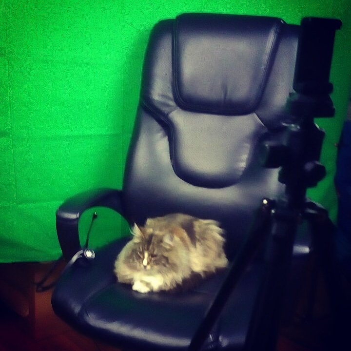 infiniteschool's tweet photo. Ladies & Gentlemen, our new #teacher! #InfinitySkills #cat #dave #music #drums #tutorial #rising #lesson https://t.co/aYqItgTBZk