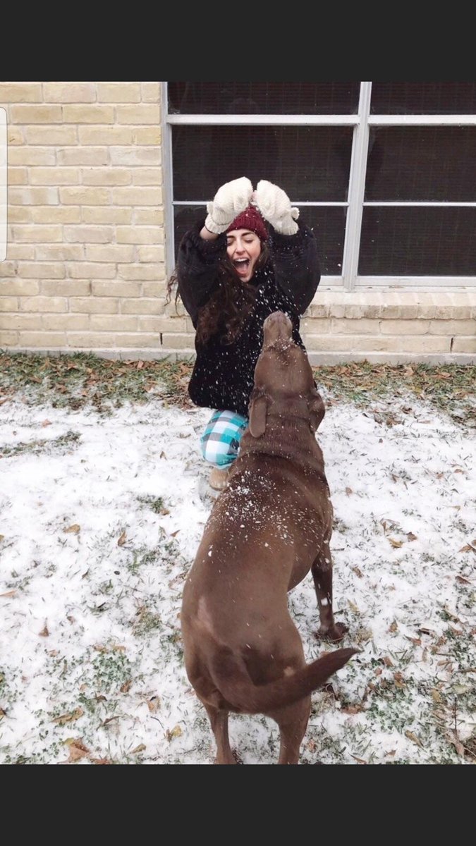 Betsy janese tweet media