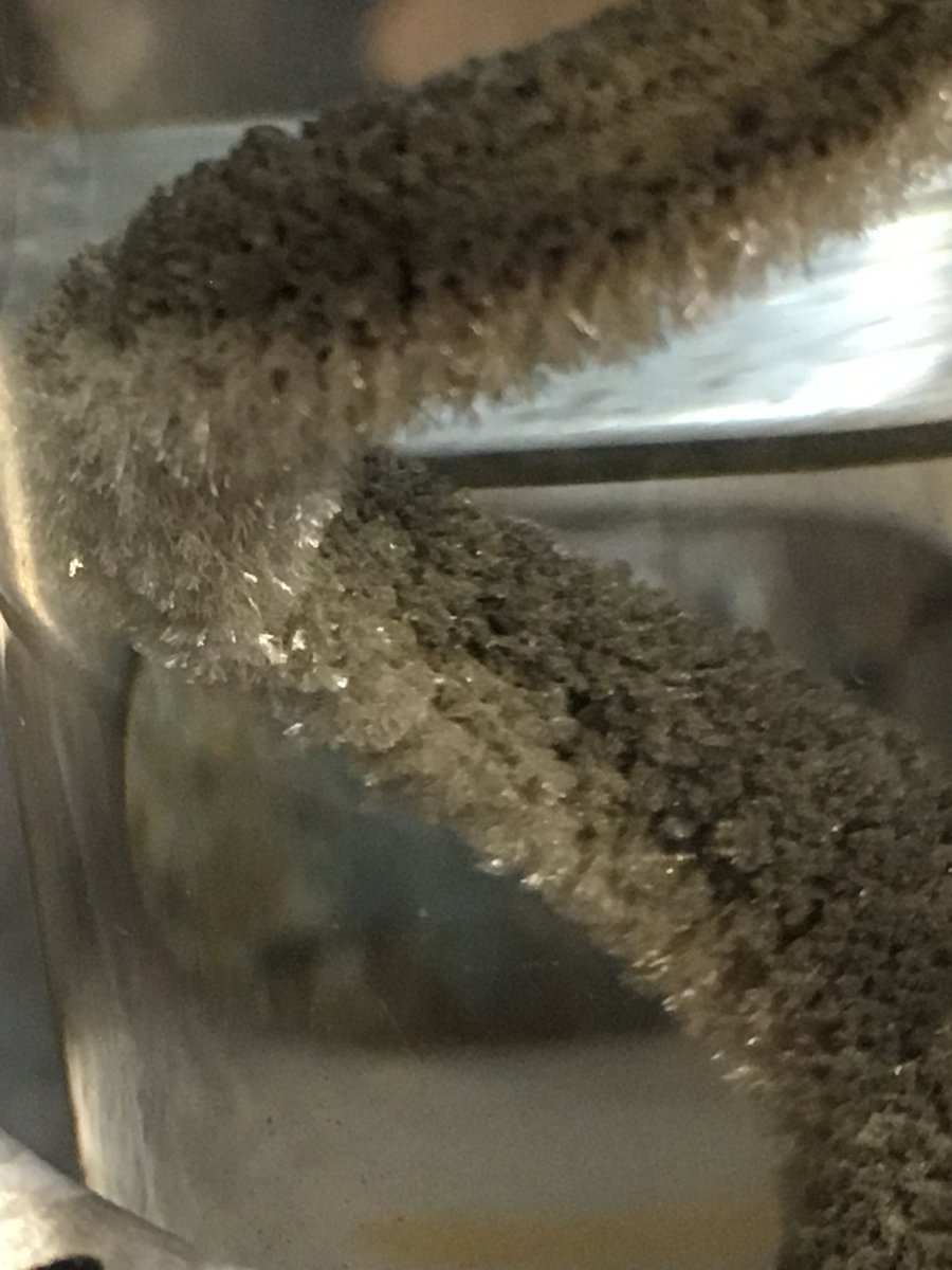 ScienceEba's tweet image. Metallic structure - great photography from 9Ch1!