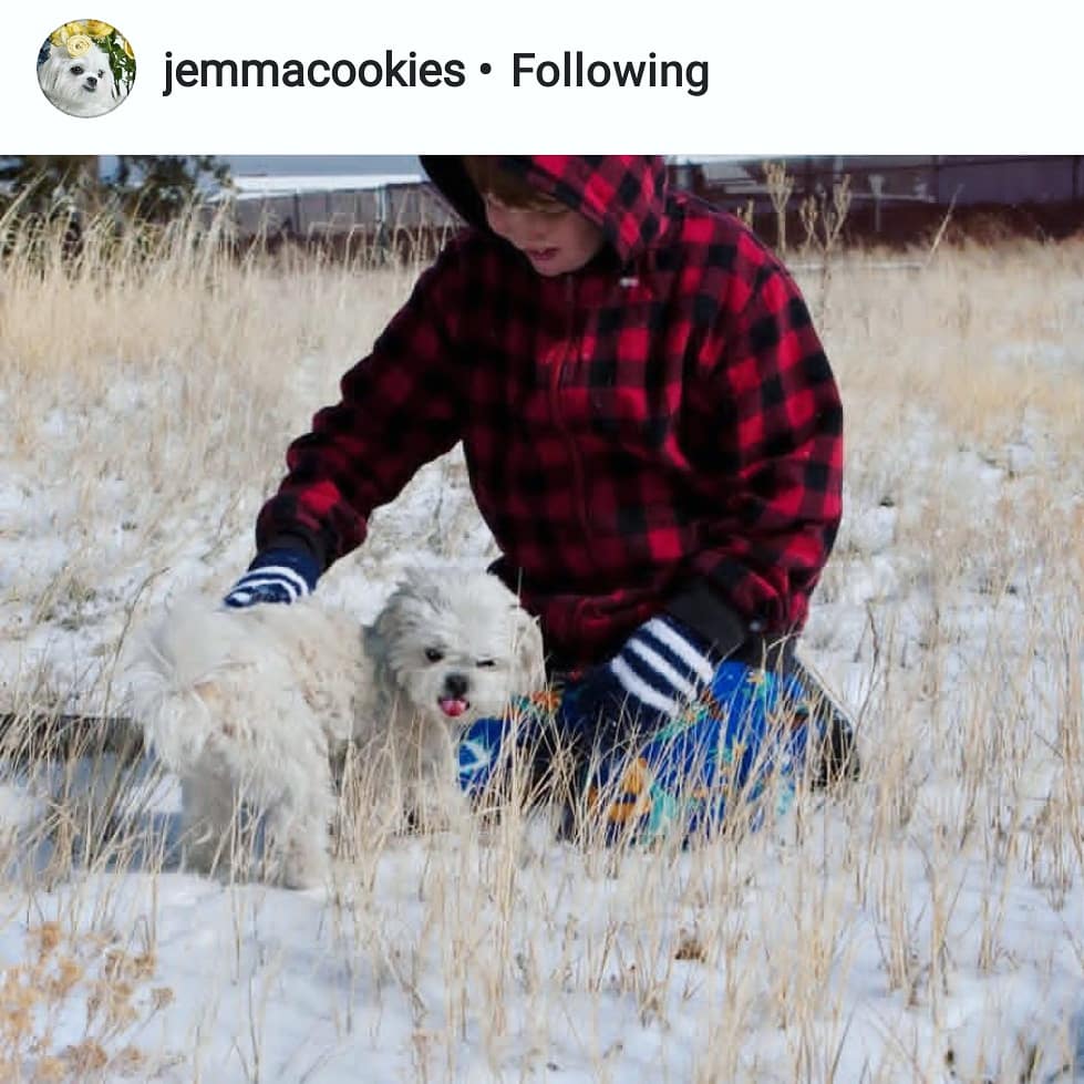 simplepetlove's tweet photo. Happy TAIL WAGGING TUESDAY!!! Our FIFTH adorable set of features for “BABY IT’S COLD OUTSIDE” are the SUPER ❄️ cuties who strike a pose in the winter wonderland!! (Part 2 of 2) with... @jemmacookies @rosie_milo and @amazing_indy.dallas
#simplepetlove #petfeatures https://t.co/H4Mc7pq2Oh