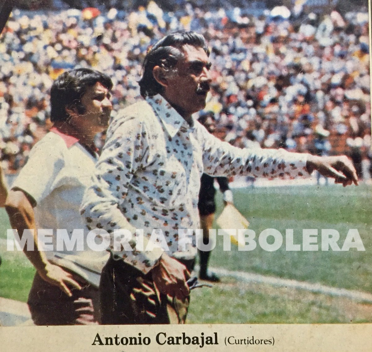 Resultado de imagen de tota carbajal curtidores