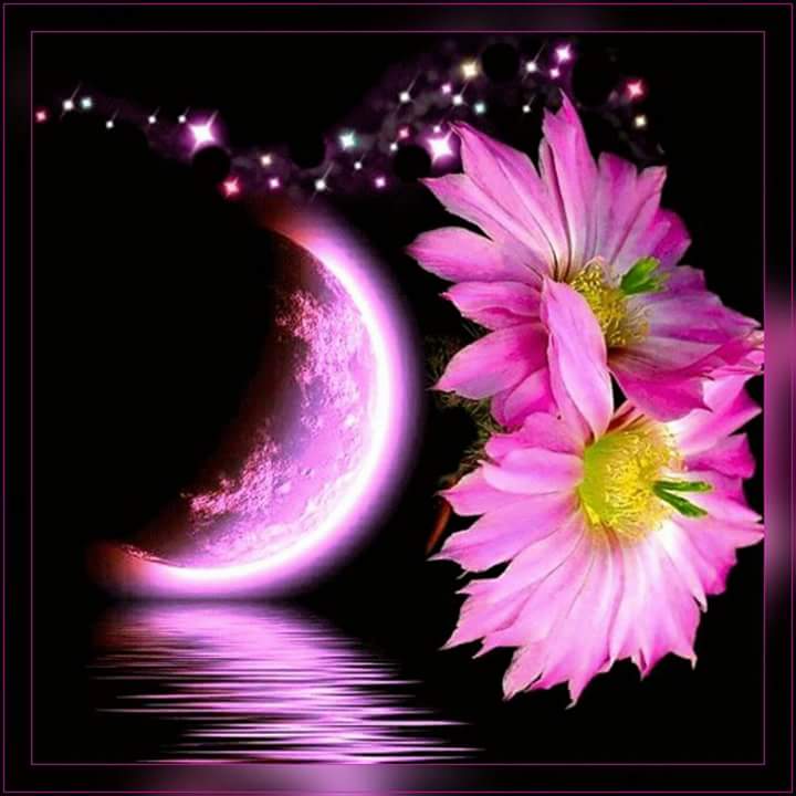 nochkanouche's tweet photo. @Dam_Isa_G Hooo pardon Isa 😔 un peu à bout en ce moment 😏 un peu plus zen ce soir 😉 je te souhaite une très belle nuit 😘 https://t.co/01UB0zi0CP