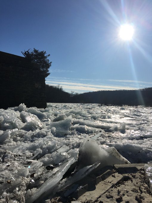 Ver imagem no Twitter