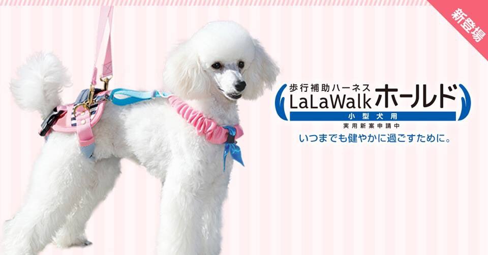 歩行補助ハーネスlalawalk 公式 小型犬 後ろ足用lalawalkホールドが販売になりました 衰えがちな後ろ足を付け根から支えて歩行をサポート さらに ズリ落ち防止サスペンダーでしっかりガード チャームポイントの首もとのリボンタイでおしゃれ気分も