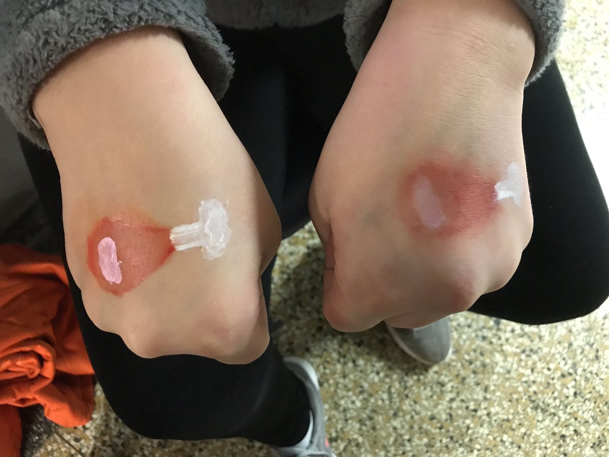 djudy08's tweet photo. HAMS....get it!!! Haha!!!  #HAMSStuco #IAJHSC #MEDistrict https://t.co/lDSxN2jqvM
