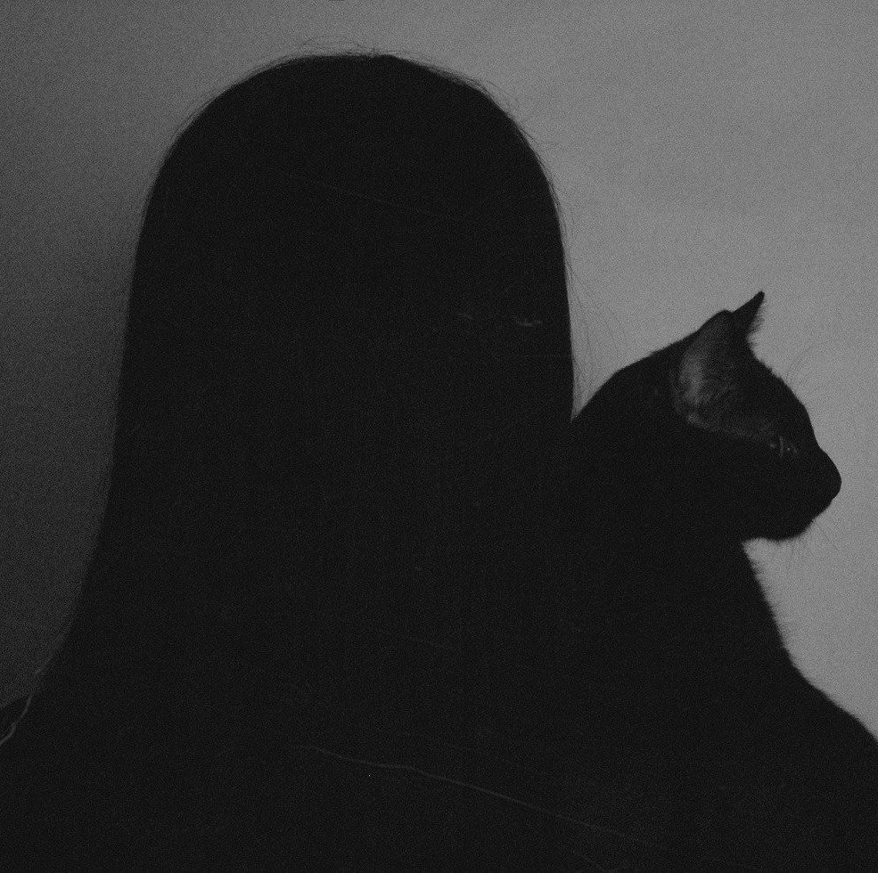 Вам известно, что кошки спят по 20 часов в сутки? Неудивительно, что они выглядят лучше, чем я.
