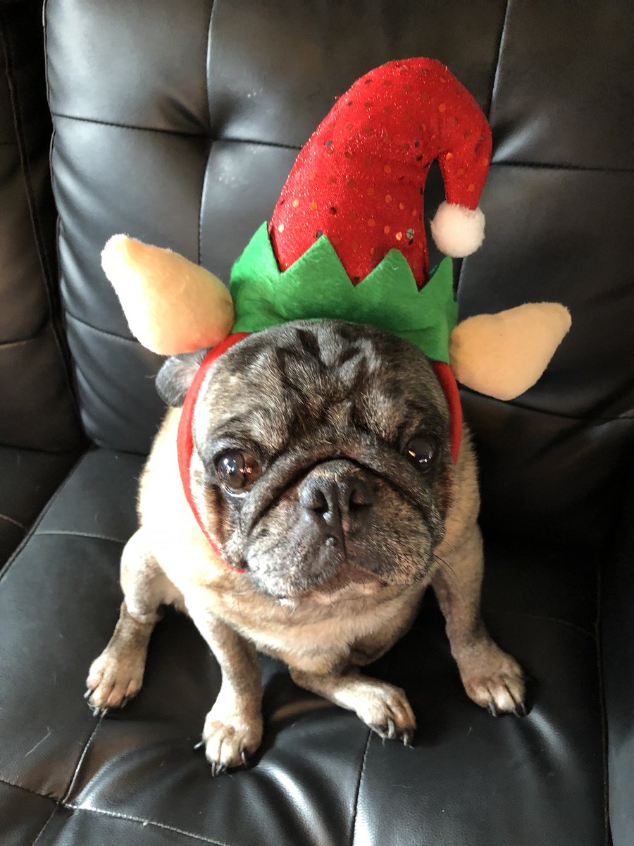 #gamenite hey everyone Mooch here