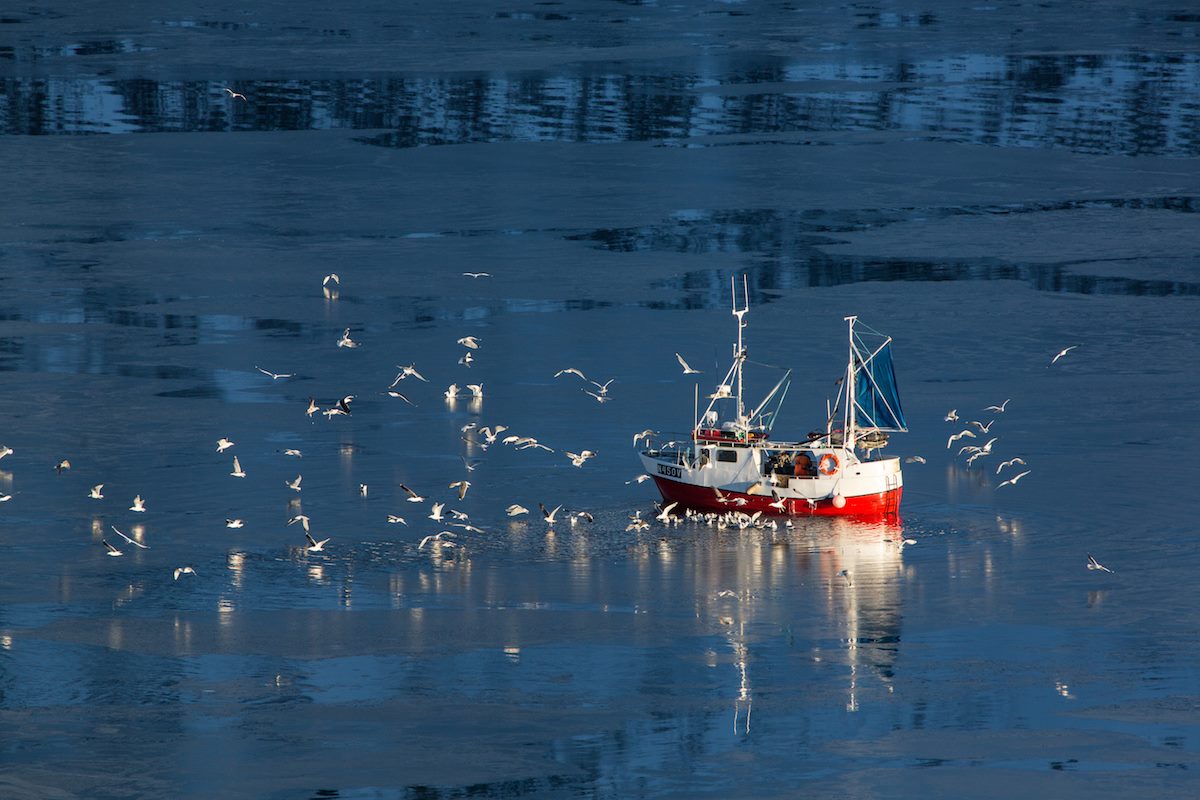 USvesseldoc's tweet image. Did You Recently Purchase a Boat? 
uscgdocumentation.us/purchase-boat-…

#uscgdocumentation #USCG #Vesseldocumenttioncenter