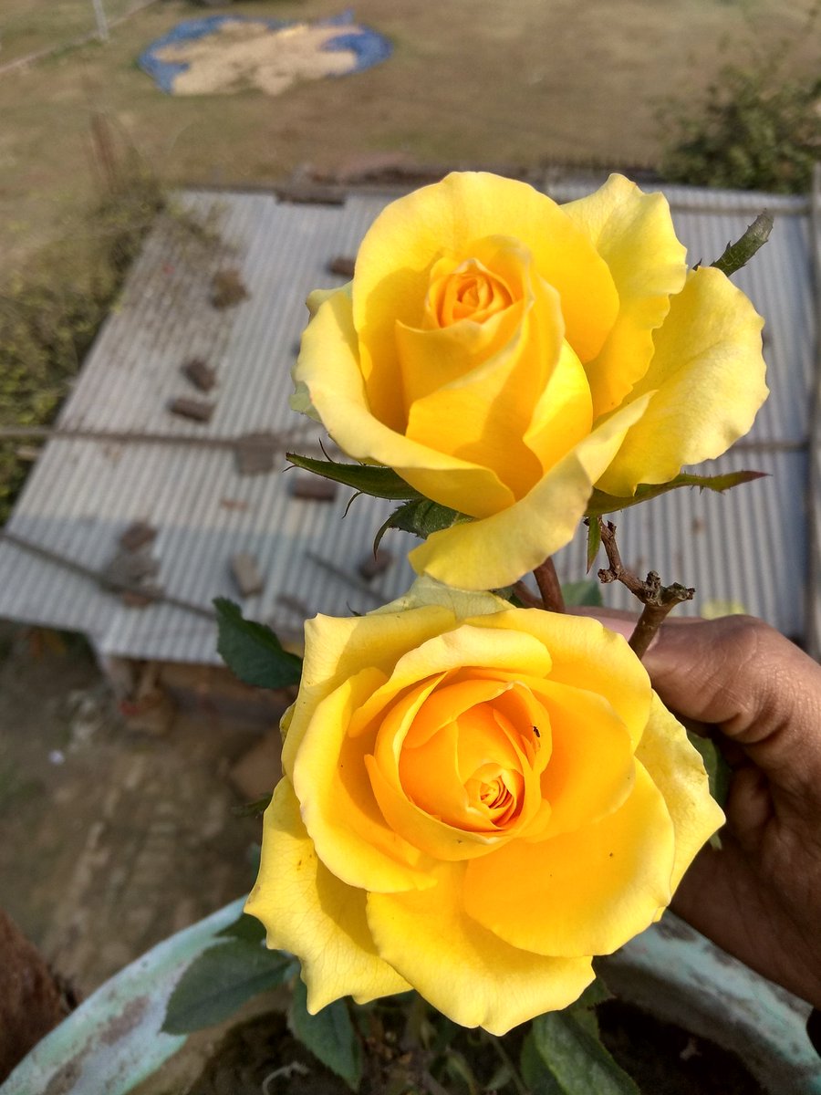 KunalChoudhar's tweet photo. Good Morning https://t.co/KEYUm2Cek3