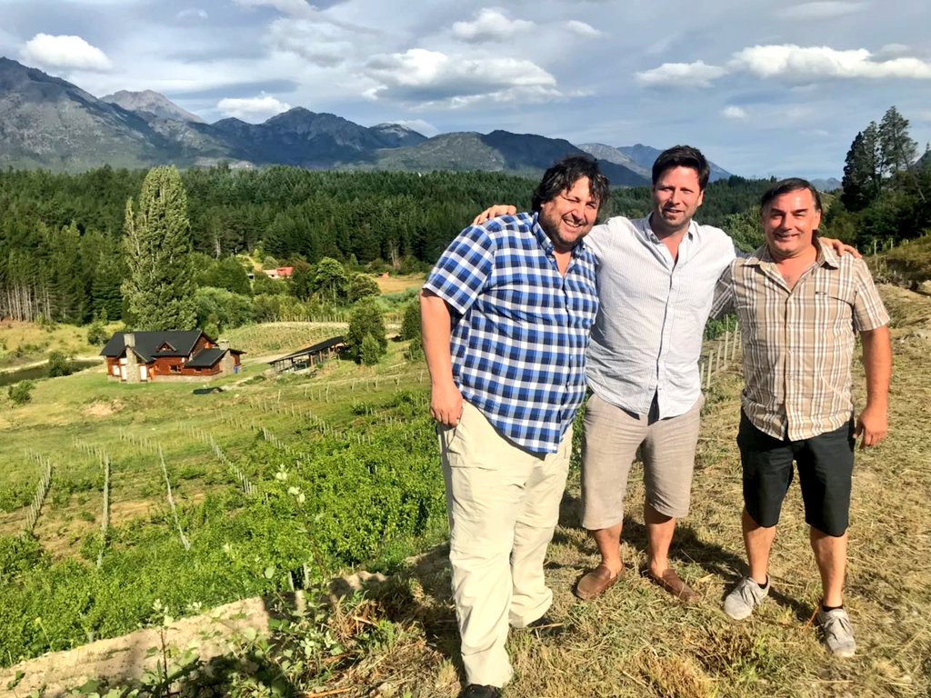 Viñedos Mas Austral tweet media