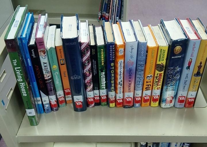 canacadlibrary's tweet photo. Today's recent returns #shelfie https://t.co/uWL2vcFdPN