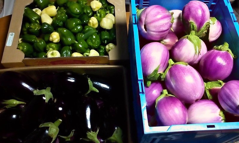 かなりやかなこ | Multi-Creator tweet media