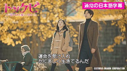 「トッケビ」Blu-ray&DVDに収録の“日本語字幕特別版”とは？ ( 海外の芸能人・俳優 ) - Moonlight Drop