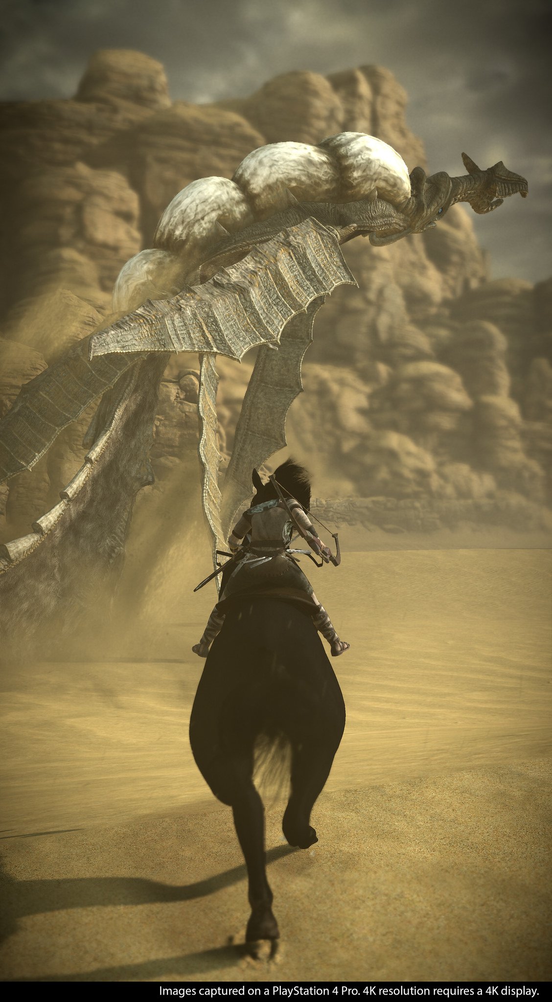 Shadow of the Colossus : r/MobileWallpaper
