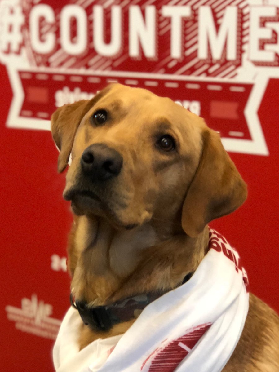 My best pal @DMFDrake is now on Twitter! Follow him as he rallies behind the 400+ charities across North Dakota and Northwest Minnesota participating in <a href="/GivingHeartsDay/">Giving Hearts Day</a> on Feb. 8, 2018! #CountMe #GivingHeartsDay