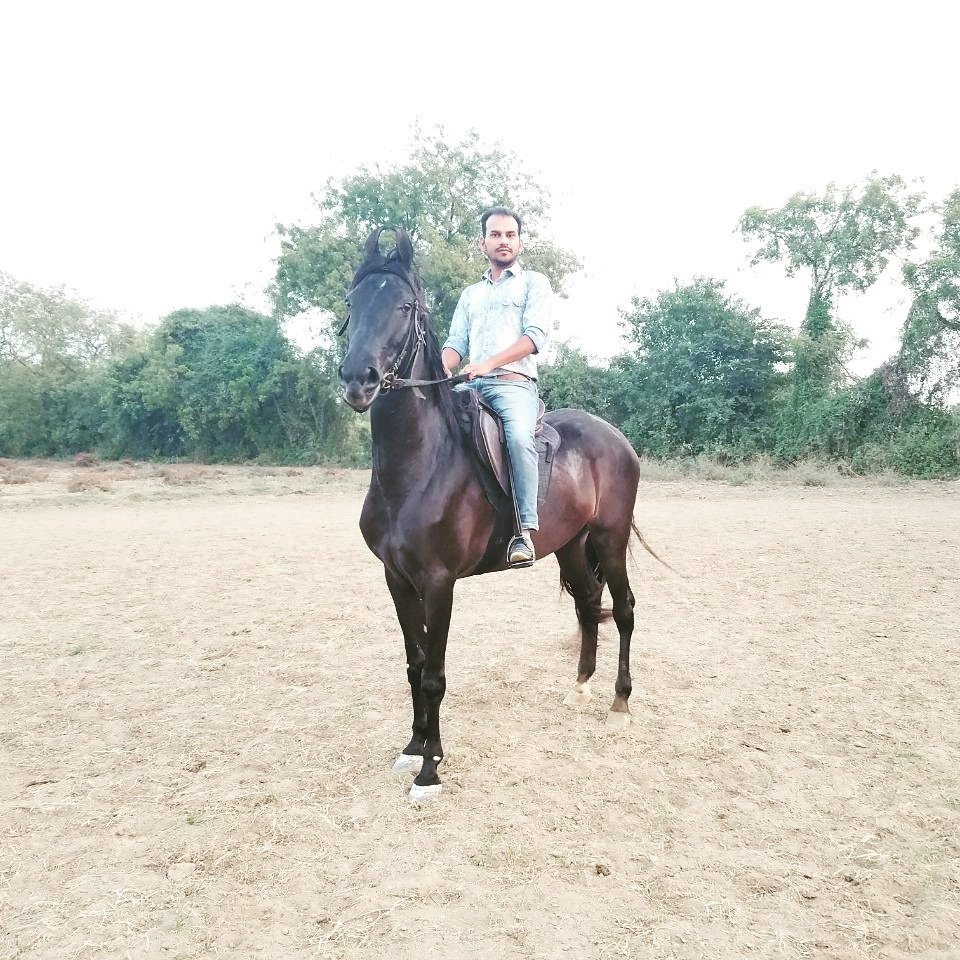 aniruddh18's tweet photo. Astride beautiful marwari mare Mastani sired by Dhanraj 
Of vikram thakor At Nandoli , ahmedabad 
Pc : dishan thaker 
#marwarihorse 
#horseriding 
#equestrian 
#horserider 
#aniruddhsinh 
#vaghela 
#stayequestrian 🏇👍 https://t.co/QkC1TffAsf