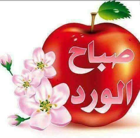 mahmoud saleh (@mahmoud1976516) on Twitter photo 