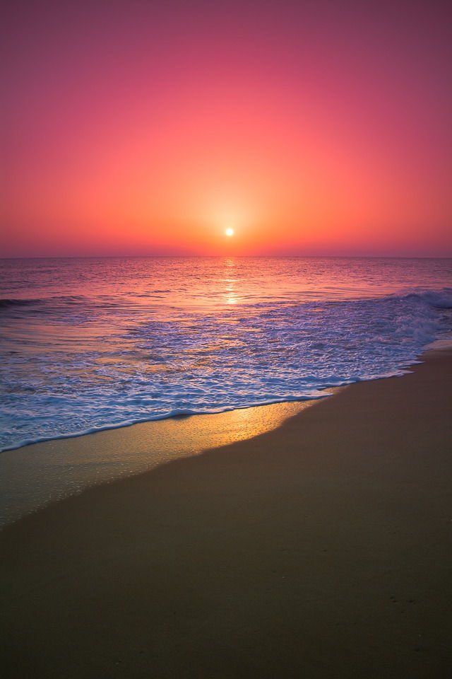 download Sam Shepard 1998