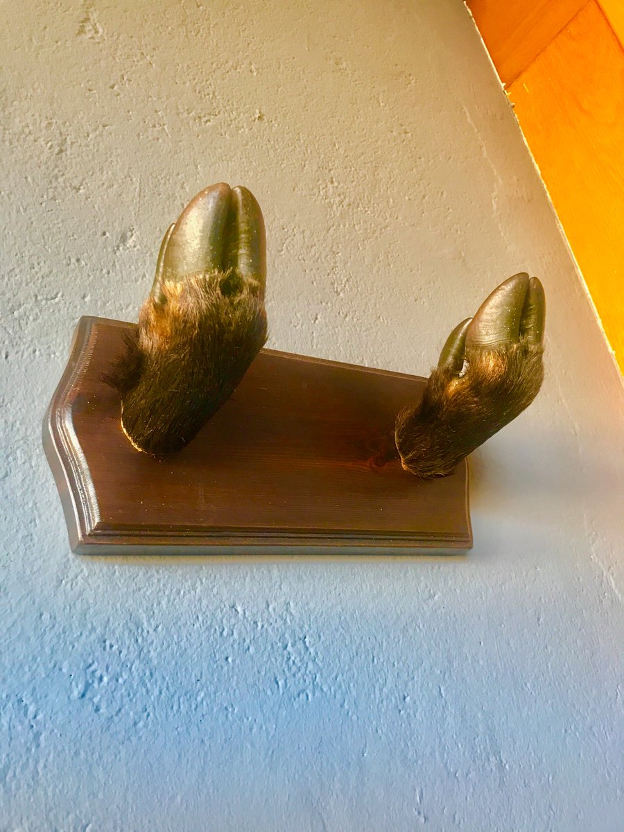 Xanthe Clay tweet media