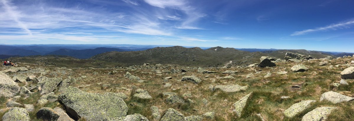 View from the top of Australia today. Mt Kosciuszko #summit #alpinerun