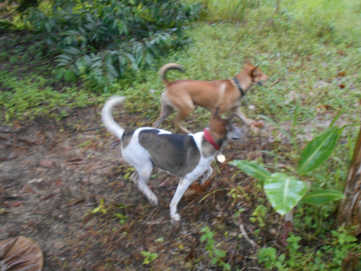 Hishamuddin Rais On Twitter Bacalah Riwayat Ini Wahai Anak Muda Agar Satu Hari Nanti Ketika Kau Kesaorangan Kau Akan Bertanya Apakah Ini Hanya Satu Riwayat Https T Co Hsdwkrw43u Https T Co Ngmom6hzjm