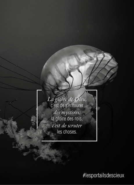 PechinEric's tweet image. ::: Les portails des cieux :::
La gloire Dieu, c'est de s'entourer des mystères; la gloire des rois c'est de scruter les choses.
Commandez votre livre : laboitechretienne.com      
#lesportailsdescieux #ericpechin