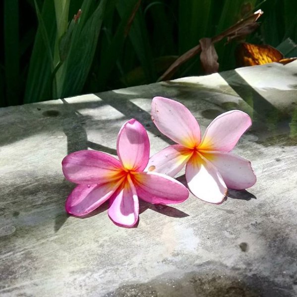 Inhale. Exhale. Enjoy your moment at #RoyalKamuelaUbud.
#KamuelaVilla