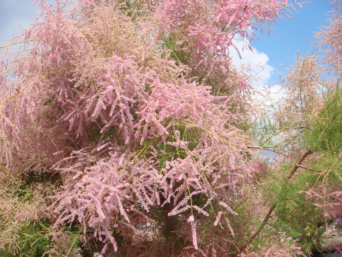 TANISALIM, KONUSALIM, SIZI DE EHLIYET SAHIBI YAPALIM
#Marmaris 19 MAYIS MEYDANI 
#Kaynak Surucu #EHLIYET KURSU icin tlf 0252 413 7585 , cep 0506 655 4100 , cep 0546 820 1299