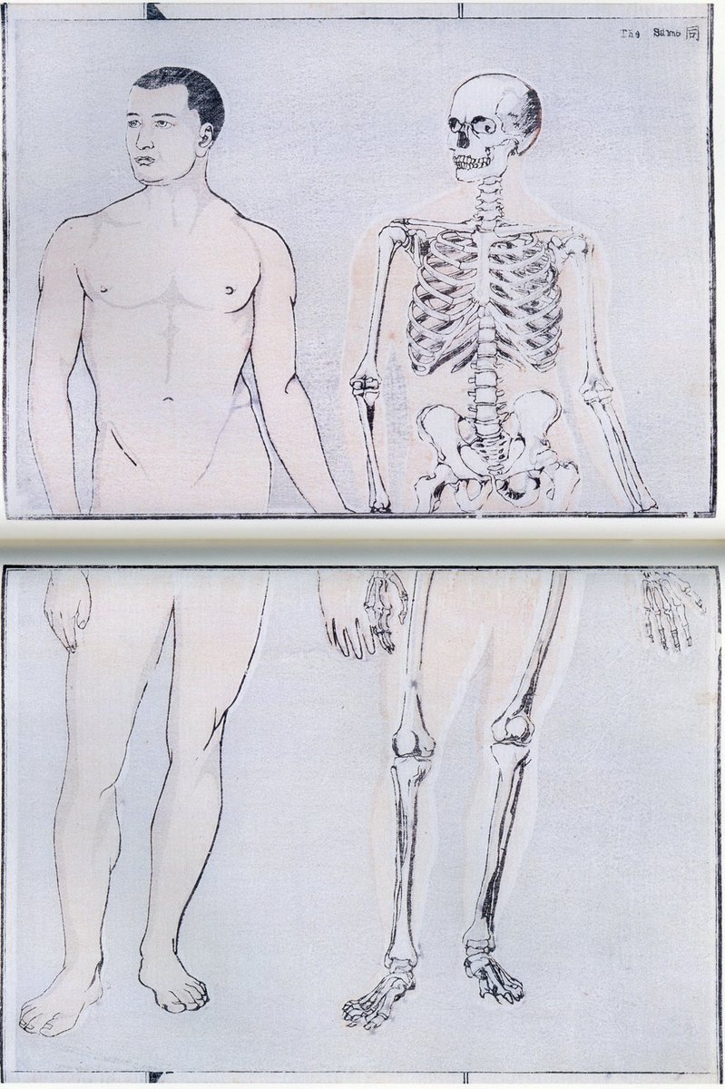 同じく『暁斎画談』(右)とその元になったジュリアン・フォーの図(左)。#美術解剖学 